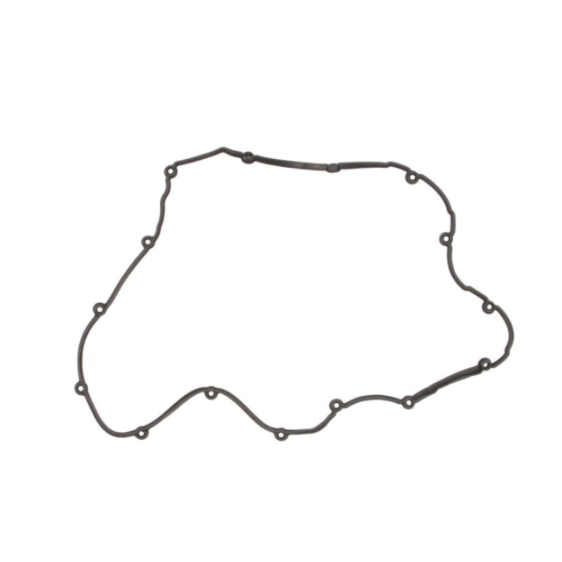 Прокладка клапанної кришки 04901626 двигуна Deutz TCD2013 L06 4V